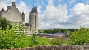 Maisons de vacances Gite du Four a Pain 4* - Le Domaine des Cyclamens : photos des chambres