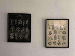 Appartements Joli T2 jardin parking proche gare centre ville : photos des chambres