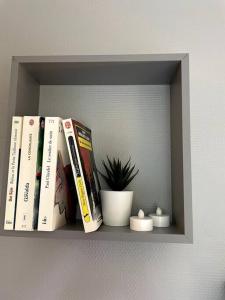 Appartements Joli T2 jardin parking proche gare centre ville : photos des chambres