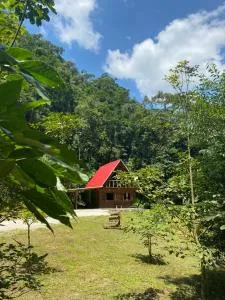 Chalé em meio à natureza! - Guabiruba