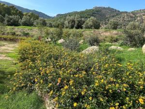 Agriturismo la biada img28