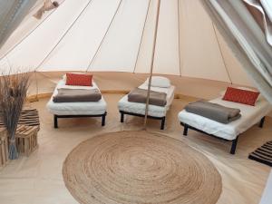 Campings CAMPING VERT LAVANDE : photos des chambres