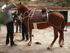 Fundo Chincheros Lodge