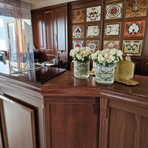 Hotel Apollonia Delphi