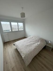 Appartements Appartement a Orleans paisible : photos des chambres