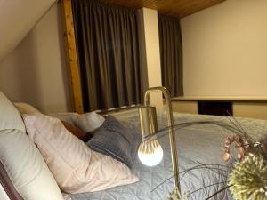 Villa Haškova with 3 bedrooms