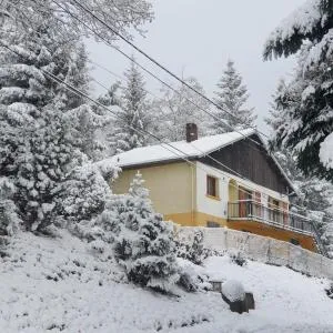 Maison vosgienne proche de la Bresse et Gerardmer - Gerbamont 