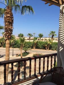 Energetic & Fun Apartments