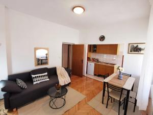 Nice and spacious apartment- Silvio 2