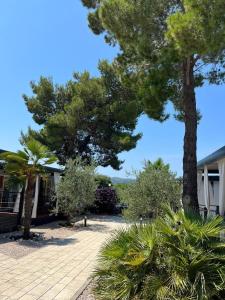 Dalmaris camp - prestige mobile homes Biograd na Moru