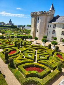 Maisons de vacances Bungalow de 3 chambres avec piscine partagee et jardin amenage a Onzain : photos des chambres