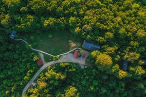 Tree Elements treehouse retreat
