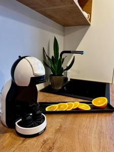 Seashell Albatross Boutique Apartment