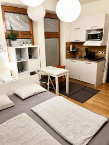 Mini Studio 