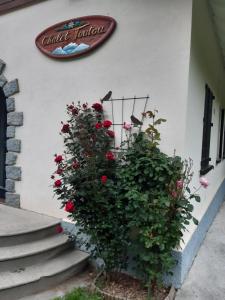 Chalet toutou 1214 personnes