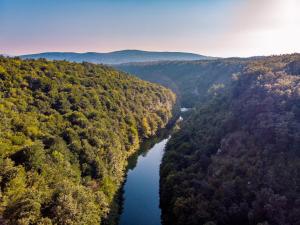 Tree Elements treehouse retreat 