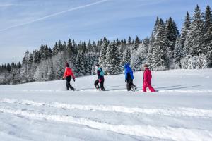 Appartements NOTRE CHALET - Boutique Hotel - En couple - En famille - En groupe : photos des chambres