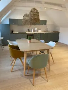 Family loft à 5minutes du Zooparc de Beauval - Châteauvieux