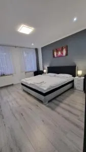 CT Apartment Wurzen - Machern