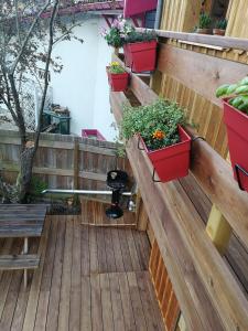 La cabane du Truquet