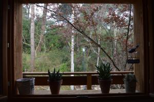 La cabane du Truquet