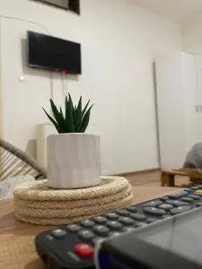 Fenix Apartman II - Staropatitsa