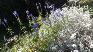 La Maison des Maîtres de Forge