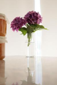 Residence Gonda&Giuliano