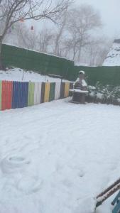 corner life bungalow sapanca My green garden turizm konaklama restorant tic ltd şt