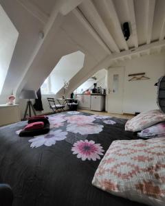 Appartements La panthere rose : photos des chambres