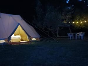 Tent