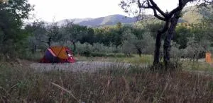 Agricampeggio Borgo Agna - Campogialli