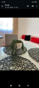 APARTMANI MEMIĆ 100M OD MORA