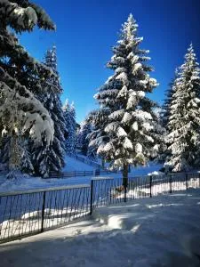 PineTree Jahorina - Bistrica