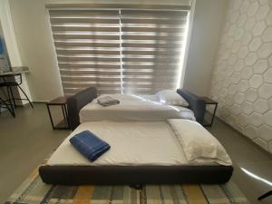 Condo in El Centro Near Malecon!