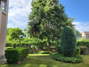 Complex ELIT Cacao Beach - Apartments for rent- ЕЛИТ Слънчев бряг