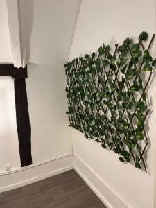 Appartements Appartement + Parking prive : photos des chambres