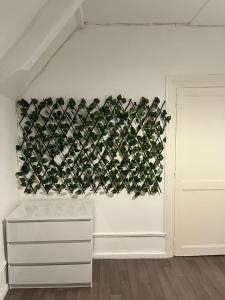 Appartements Appartement + Parking prive : photos des chambres
