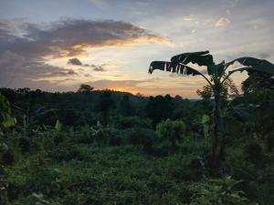 La Mariola - Finca Agroecológica