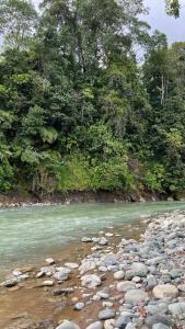 Cabaña junto al río