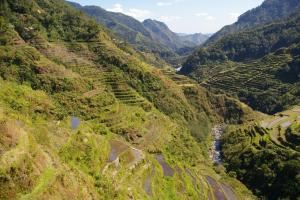 Hikers Homestay