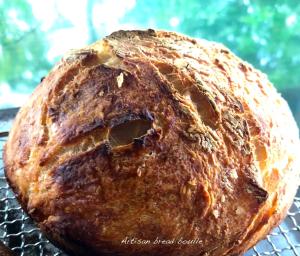 The LivingSpace Villa