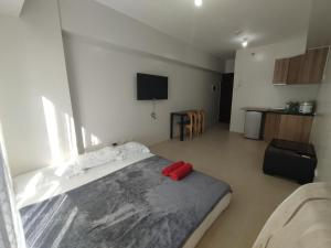 CEBU AVIDA Riala T2 2715 (It park)