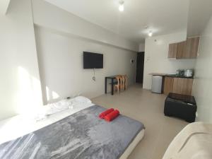 CEBU AVIDA Riala T2 2715 (It park)