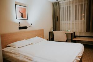 Single Room room in Iness Hotel