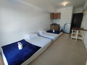 CEBU AVIDA Riala T3 212 (It park)