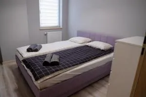 Apartament Solankowa Przestrzeń Inowrocław - 克鲁什维察
