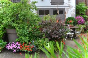 B&B / Chambres d'hotes Maison d'hotes La Renardiere : photos des chambres