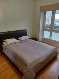 4P Apartamentai prie PC Molas