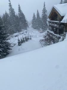 chata Karolina v Jasnej na Slovensku